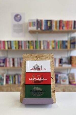 Cymraeg: Copi o 'Mês Bach a Gwreiddiau' yn sefyll ar stondin llyfrau, tu blaen silffoedd o lyfrau yn y cefndir. | English: A copy of 'Mês Bach a Gwreiddiau' sits on a stand in front of multiple shelves of other books.