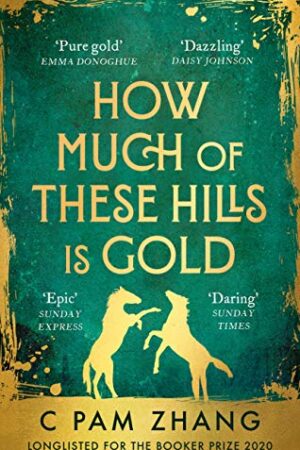 How Much of These Hills is Gold - C Pam Zhang