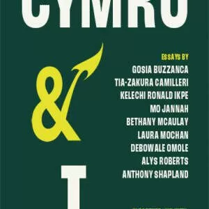 Clawr y llyfr.